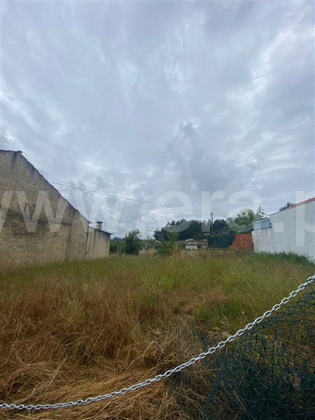 Terreno / Albergaria-a-Velha, Calvães