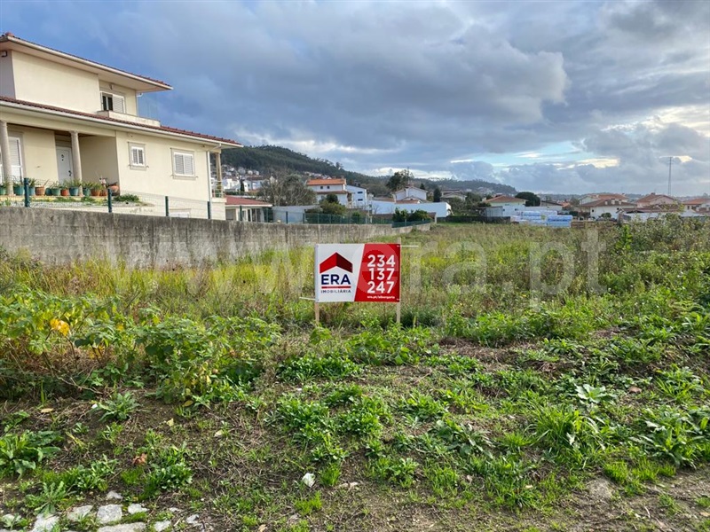 Terreno / Albergaria-a-Velha, Chaque