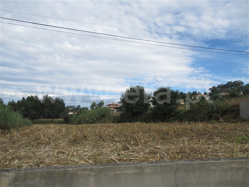 Terreno / Albergaria-a-Velha, Chaque