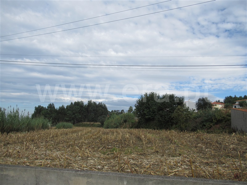 Terreno  Albergaria-a-Velha, Chaque - 953817 - 2
