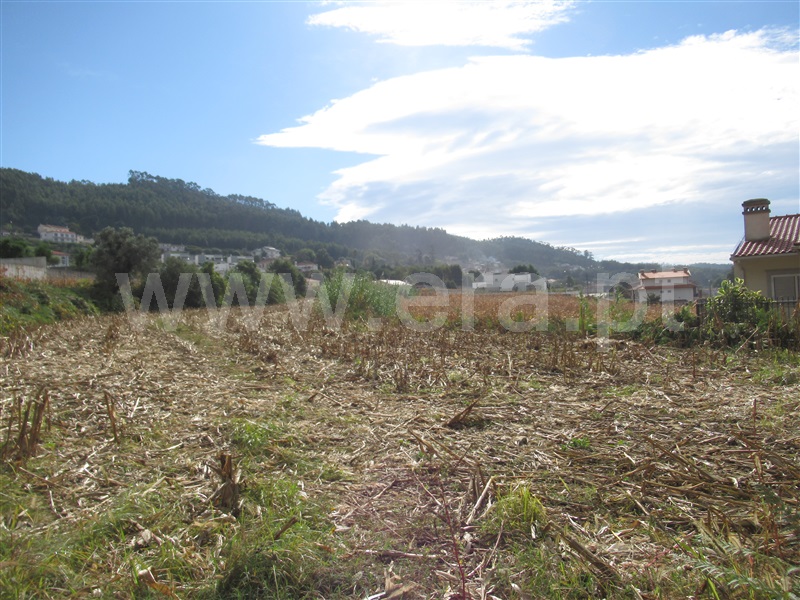 Terreno  Albergaria-a-Velha, Chaque - 953817 - 3