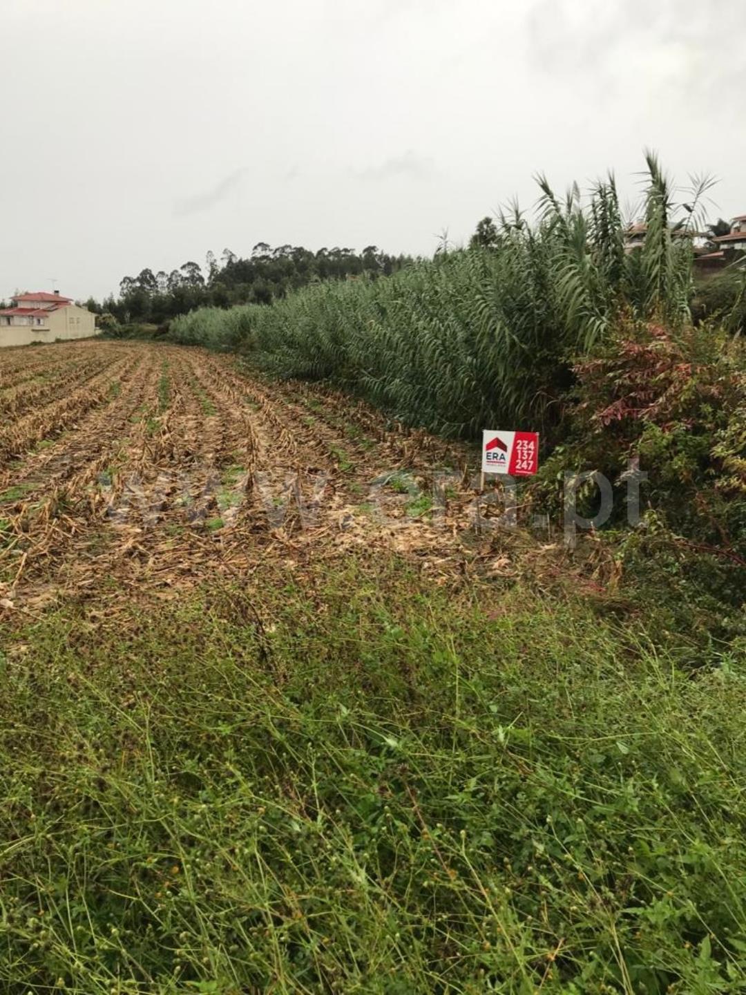 Land for sale in Albergaria-a-Velha, Portugal — €100,000