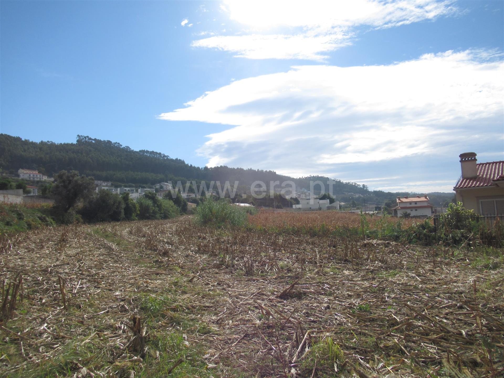 Land for sale in Albergaria-a-Velha, Portugal — €97,000