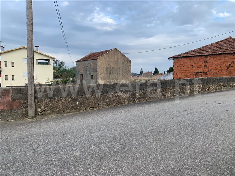 Terreno / Albergaria-a-Velha, Eiras