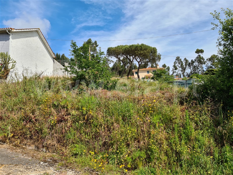 Terreno  Albergaria-a-Velha, Frossos - 1171916 - 8