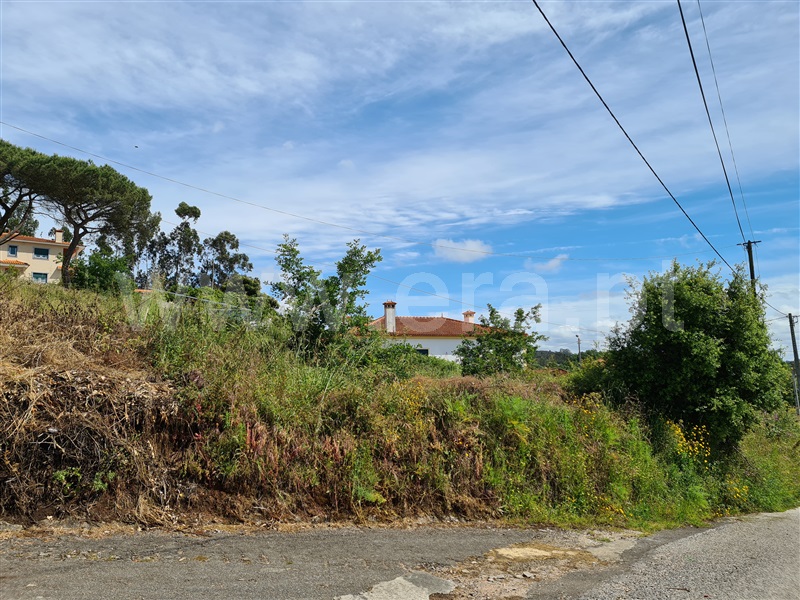 Terreno  Albergaria-a-Velha, Frossos - 1171916 - 6