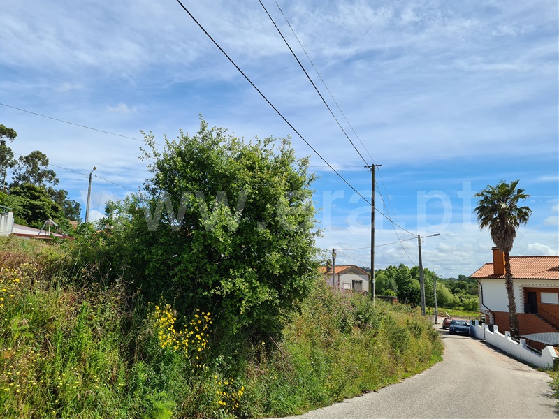 Terreno  Albergaria-a-Velha, Frossos - 1171916 - 7