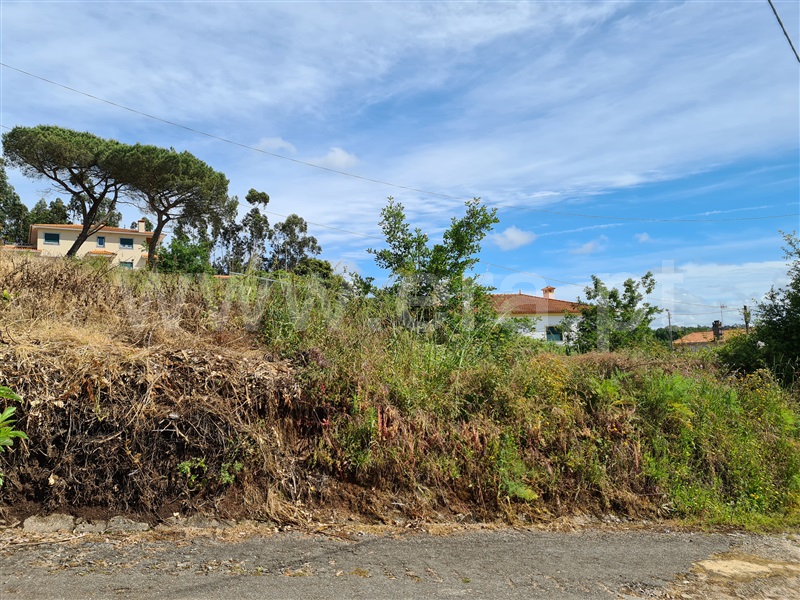 Terreno  Albergaria-a-Velha, Frossos - 1171916 - 9