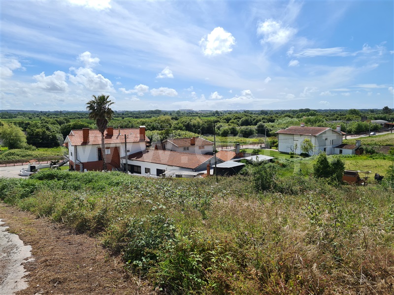 Terreno / Albergaria-a-Velha, Frossos