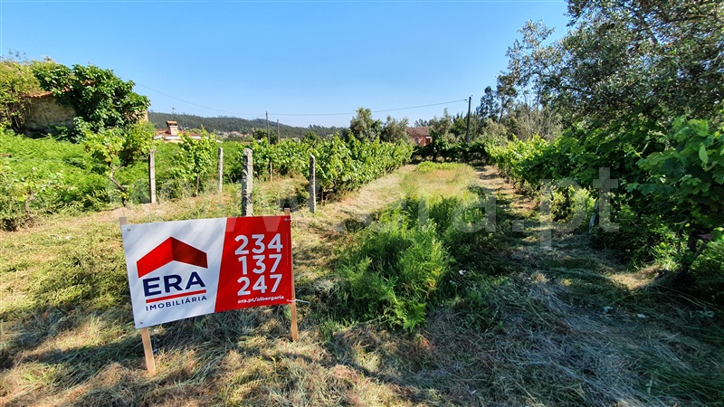 Terreno / Albergaria-a-Velha, Mouquim