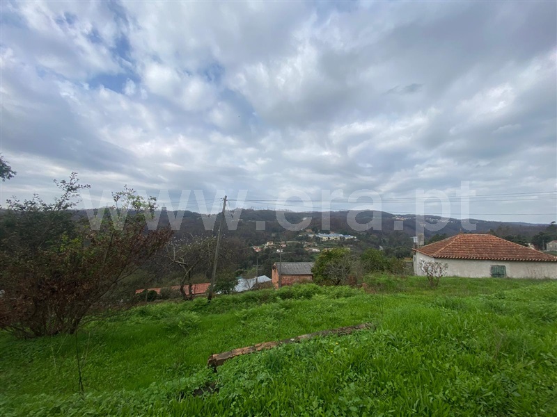Terreno  Albergaria-a-Velha, Ribeira de Fráguas - 1448015 - 1