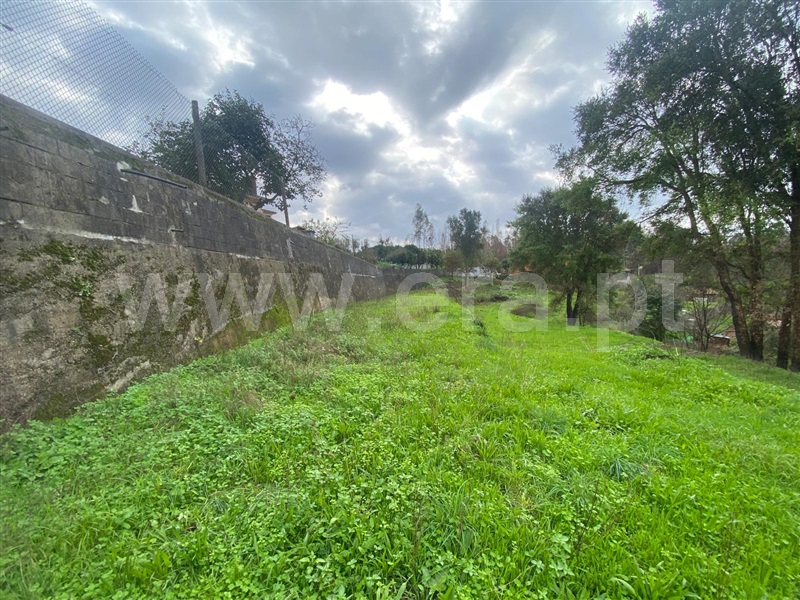 Terreno / Albergaria-a-Velha, Ribeira de Fráguas