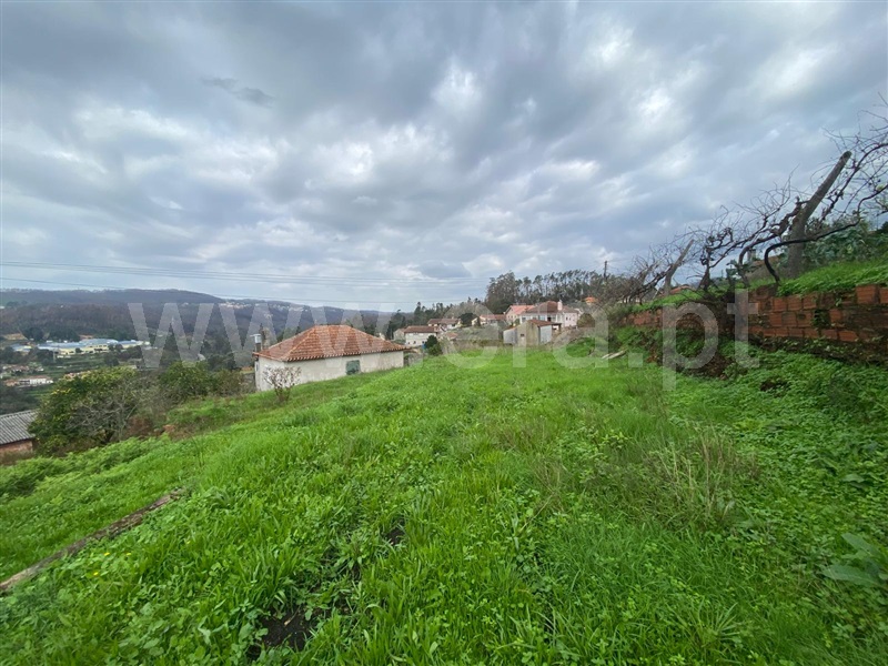 Terreno  Albergaria-a-Velha, Ribeira de Fráguas - 1448015 - 3