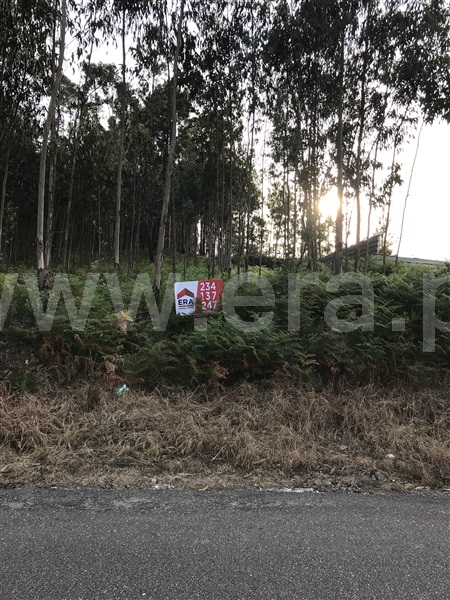 Terreno  Albergaria-a-Velha, Ribeira de Fráguas - 898723 - 3