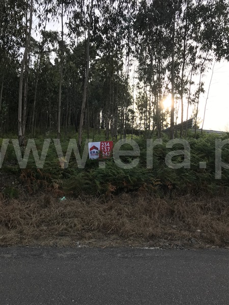 Terreno  Albergaria-a-Velha, Ribeira de Fráguas - 898723 - 4