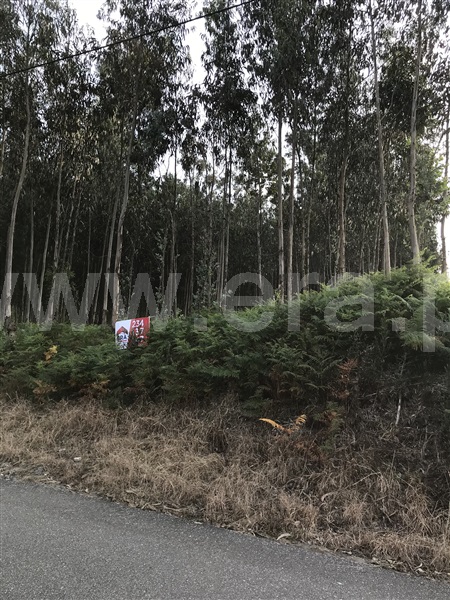 Terreno  Albergaria-a-Velha, Ribeira de Fráguas - 898723 - 6