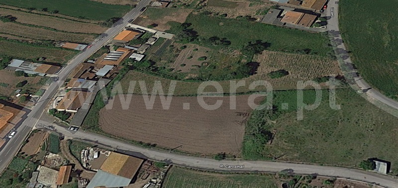 Terreno / Albergaria-a-Velha, São João Loure