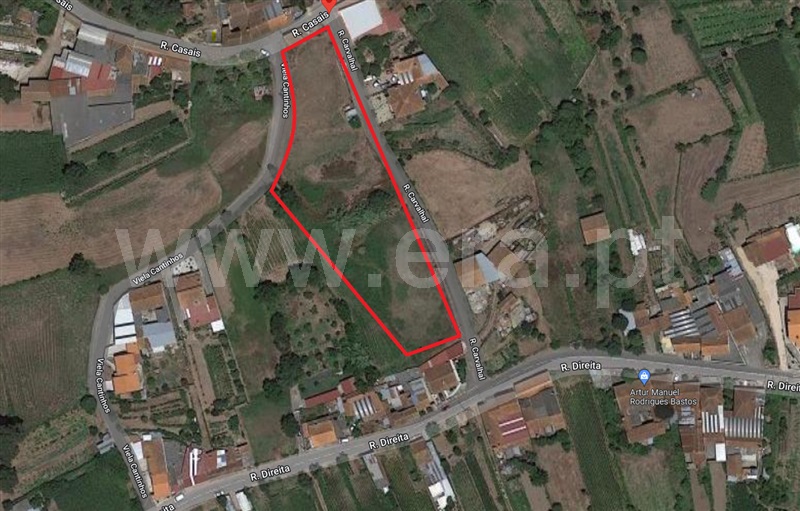 Terreno  Albergaria-a-Velha, São João Loure - 1021870 - 6