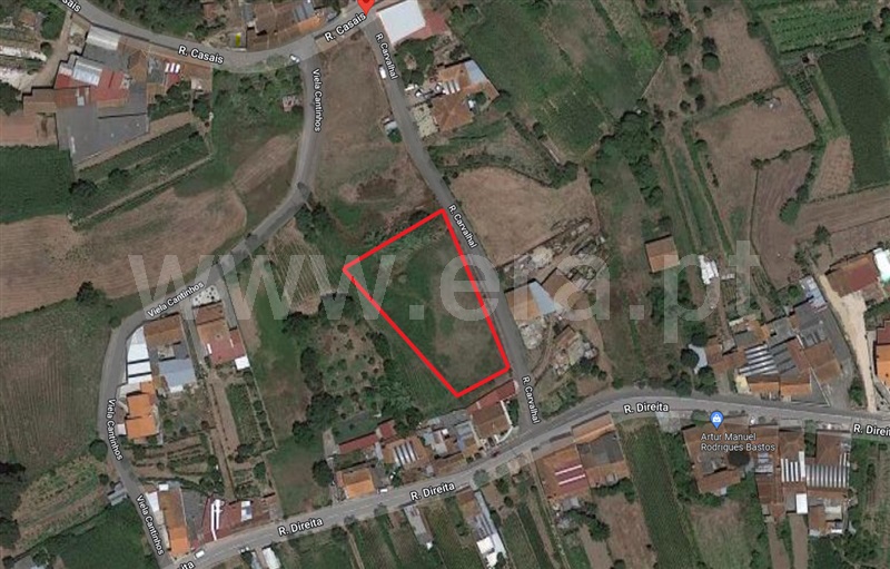 Terreno / Albergaria-a-Velha, São João Loure