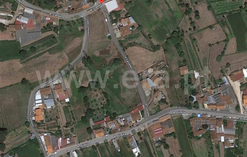 Lote  Albergaria-a-Velha, São João Loure - 1021875 - 4