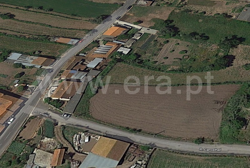 Lote  Albergaria-a-Velha, São João Loure - 1021875 - 5