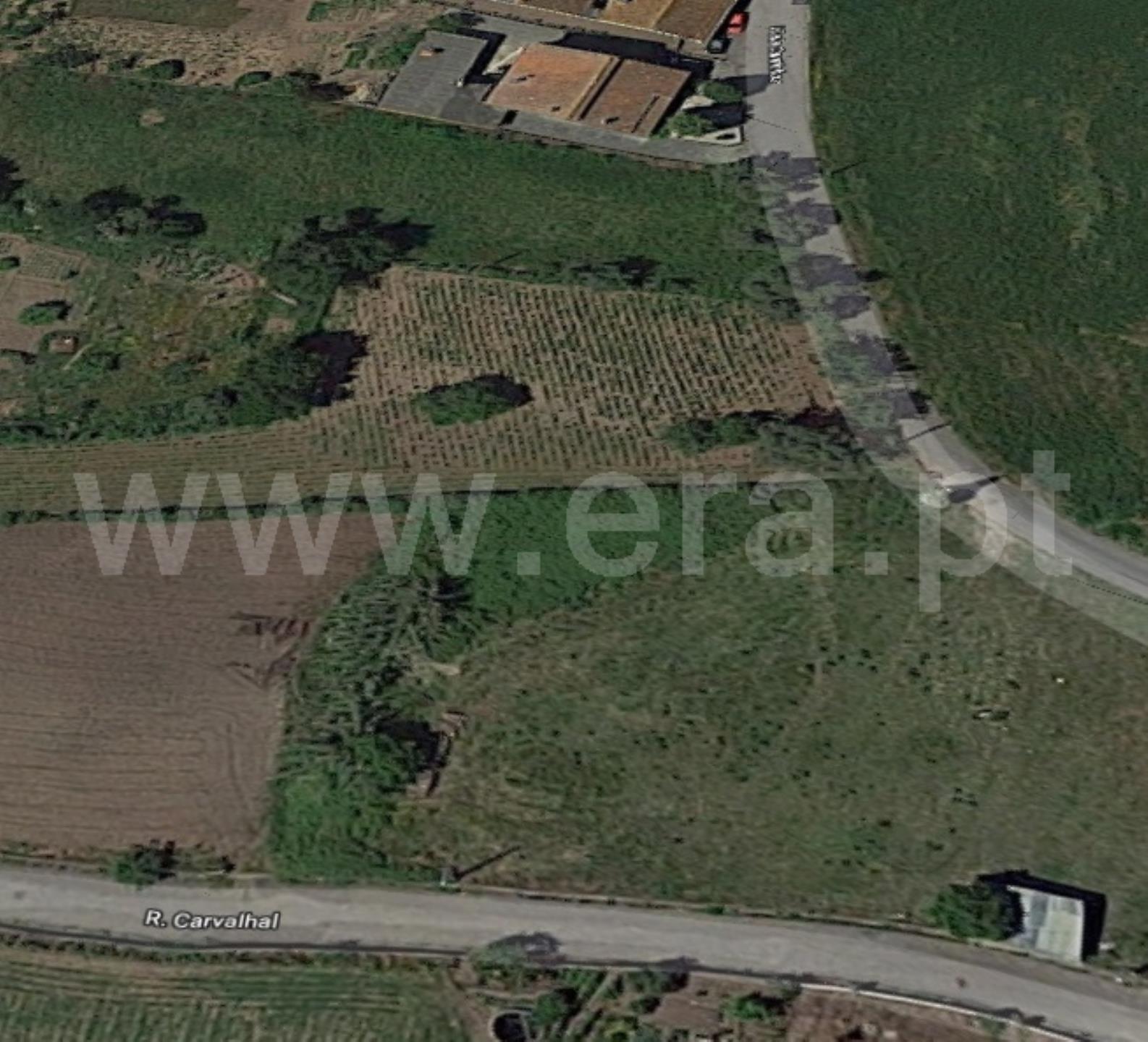 Land for sale in Albergaria-a-Velha, Portugal — €70,000