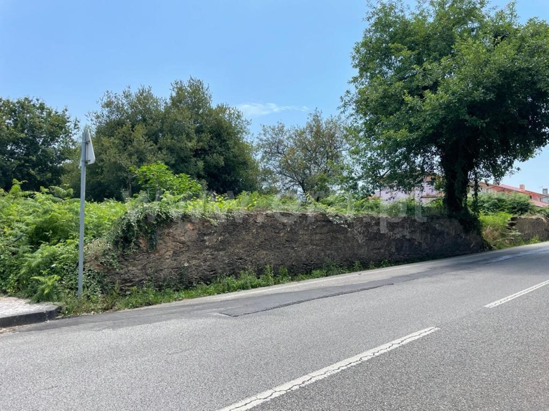 Land for sale in Albergaria-a-Velha, Portugal — €82,500