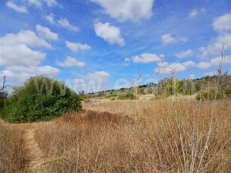 Terreno / Albufeira, Paderne