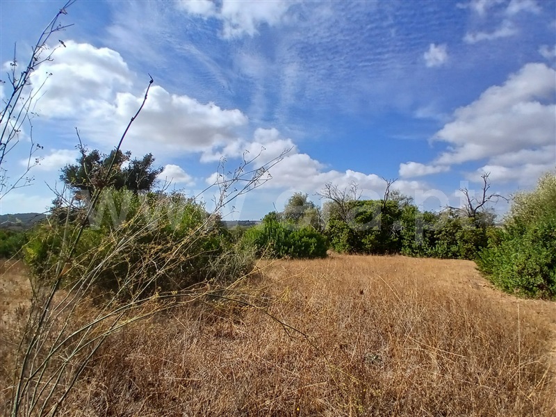 Terreno  Albufeira, Paderne - 1510358 - 4