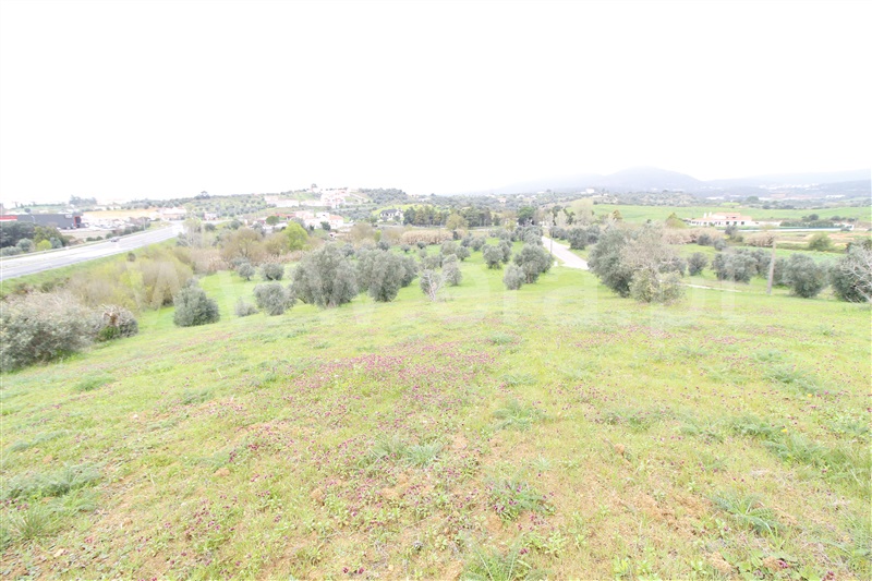 Terreno / Alcanena, Alcanena