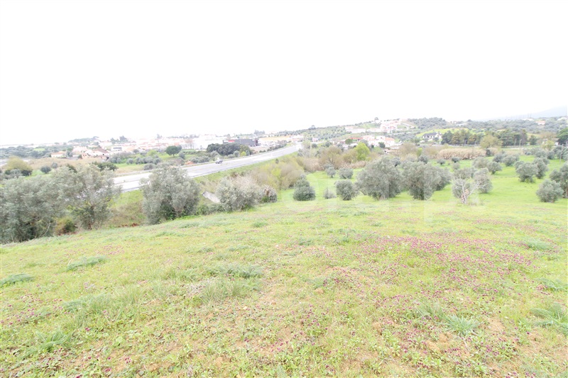 Terreno  Alcanena, Alcanena - 1467985 - 8