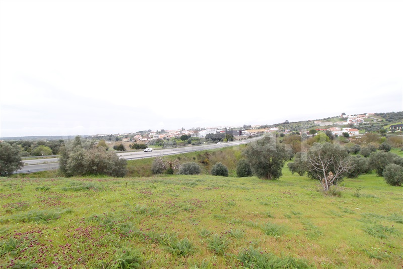 Terreno  Alcanena, Alcanena - 1467985 - 9