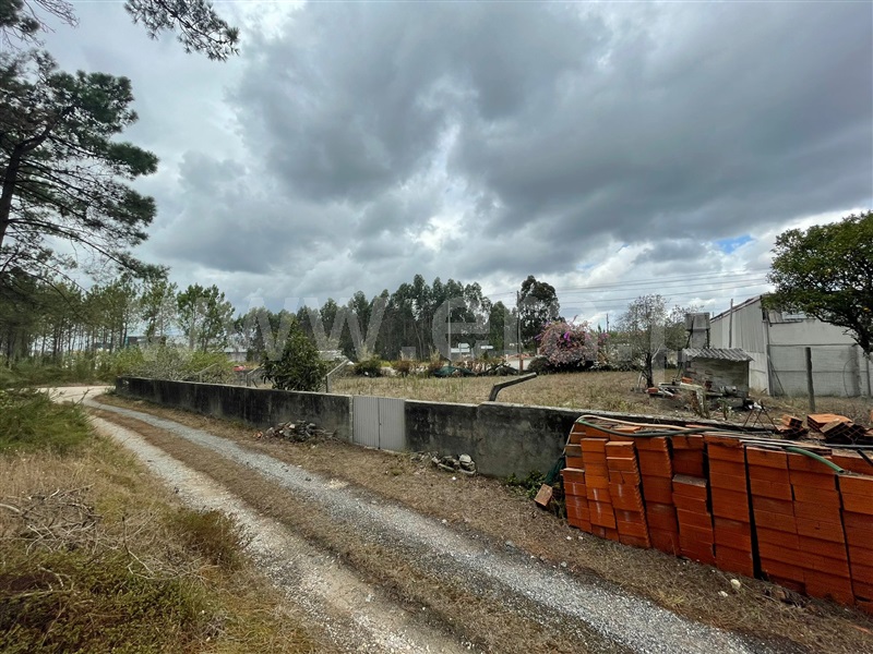 Terreno  Alcobaça, Pataias e Martingança - 1338265 - 3