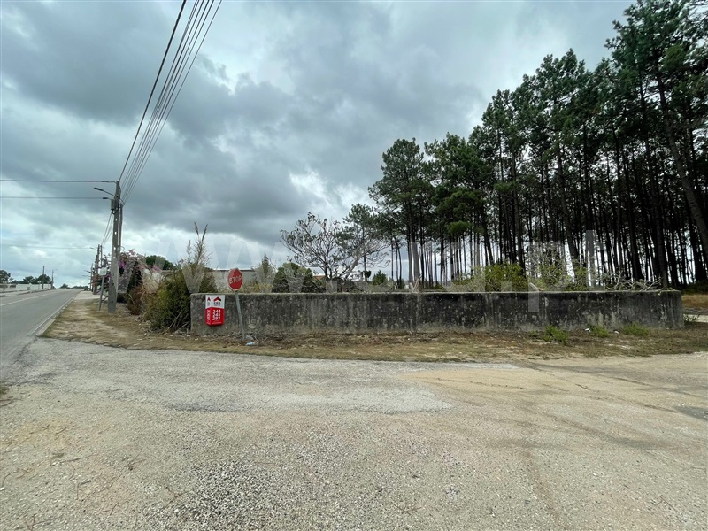 Terreno / Alcobaça, Pataias e Martingança