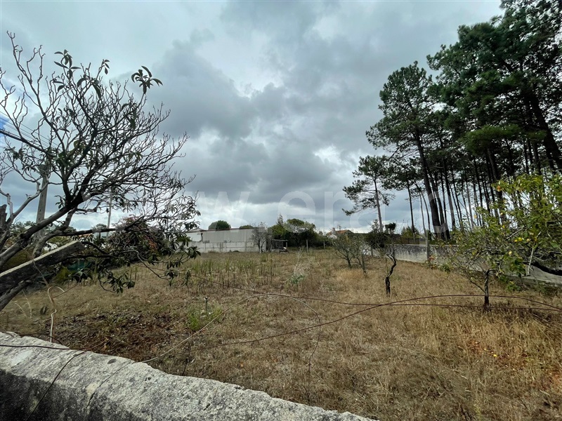 Terreno  Alcobaça, Pataias e Martingança - 1338265 - 5