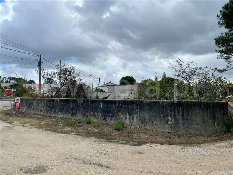 Terreno  Alcobaça, Pataias e Martingança - 1338265 - 7