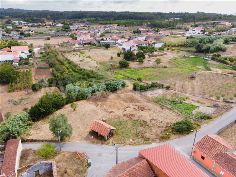 Terreno  Alcobaça, Pataias e Martingança - 1502879 - 1
