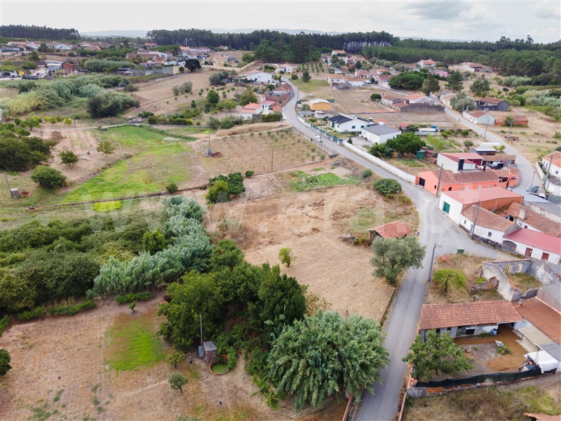Terreno  Alcobaça, Pataias e Martingança - 1502879 - 2