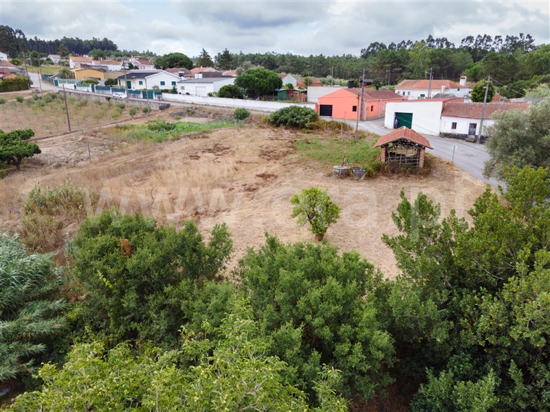 Terreno  Alcobaça, Pataias e Martingança - 1502879 - 7