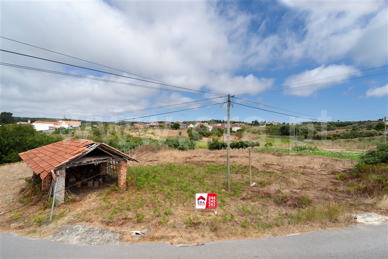 Terreno / Alcobaça, Pataias e Martingança
