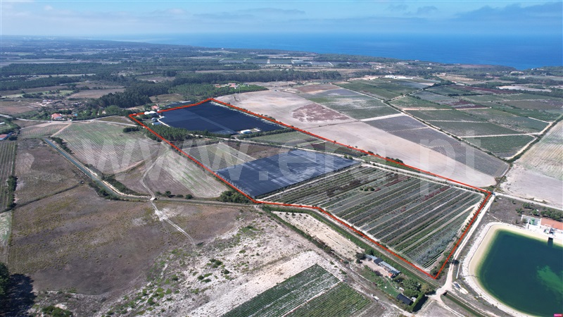 Terreno / Aljezur, João Roupeiro