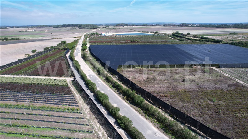 Terreno / Aljezur, João Roupeiro