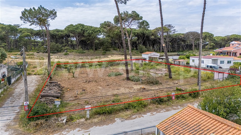 Terreno / Almada, Charneca da Caparica