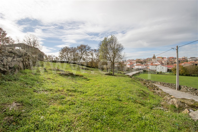Terreno / Almeida, Amoreira,Guarda