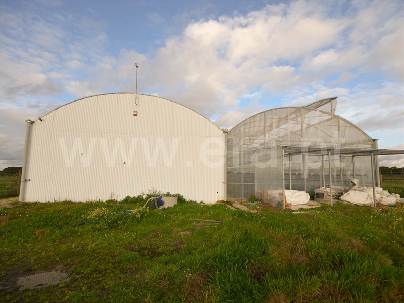 Terreno  Almeirim, Fazendas de Almeirim - 1073039 - 4