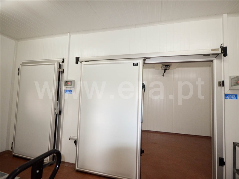 Terreno  Almeirim, Fazendas de Almeirim - 1073039 - 8