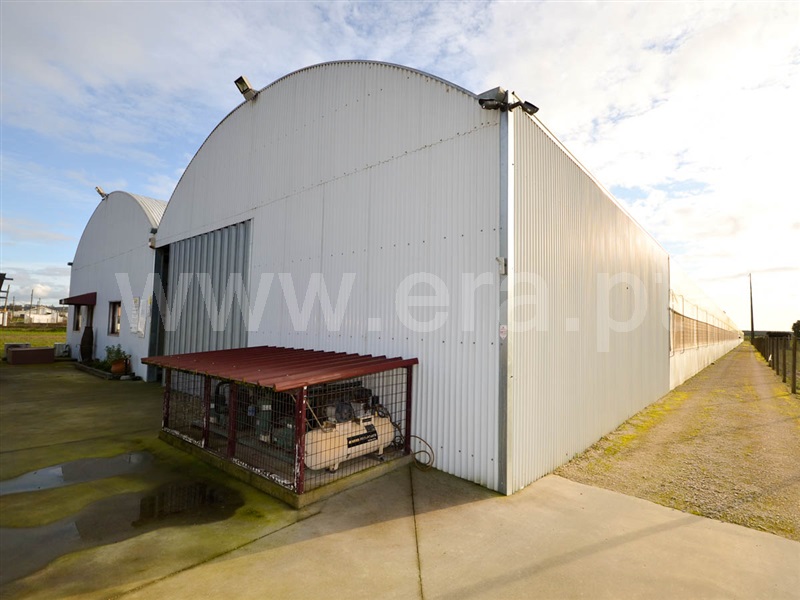 Terreno  Almeirim, Fazendas de Almeirim - 1073039 - 11
