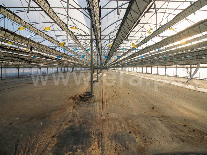 Terreno / Almeirim, Fazendas de Almeirim