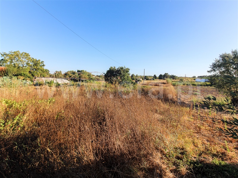 Terreno / Almeirim, Paço dos Negros