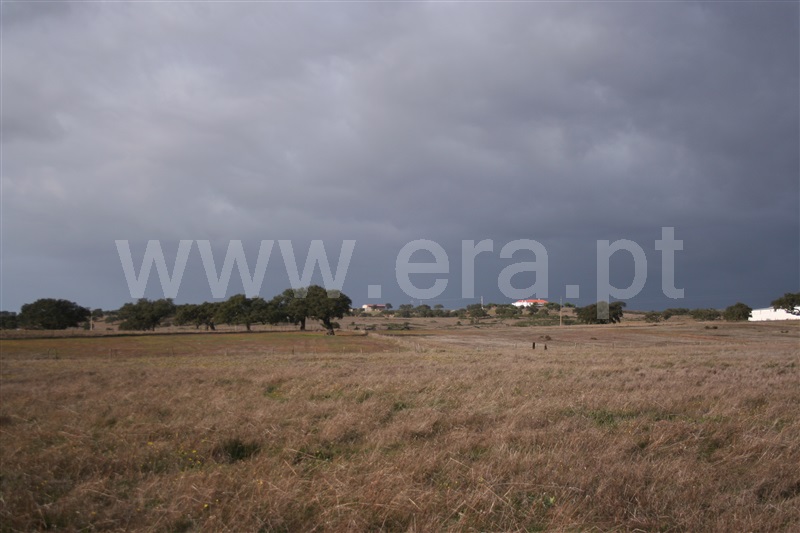Terreno  Almodôvar, Rosário - 1216640 - 4